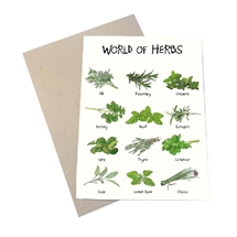 Mouse and Pen - World of herbs